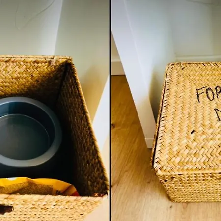 Apartment Lovely Zala Kali